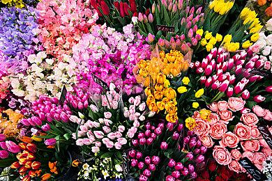 拉瑞安总裁：2030年不出新作 我老婆要和我离婚