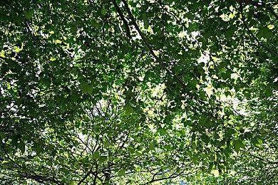 《饿狼传说：狼之城》双叶萤角色预告 寻找哥哥的少女