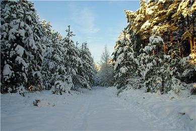 《星空》Steam在线峰值超33万 超越《上古卷轴5》