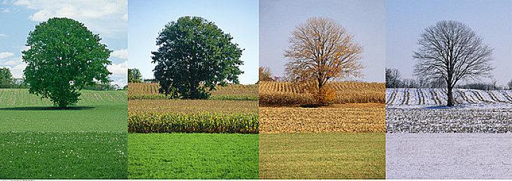 《太空机械模拟器》上架steam 探索修理太空器械